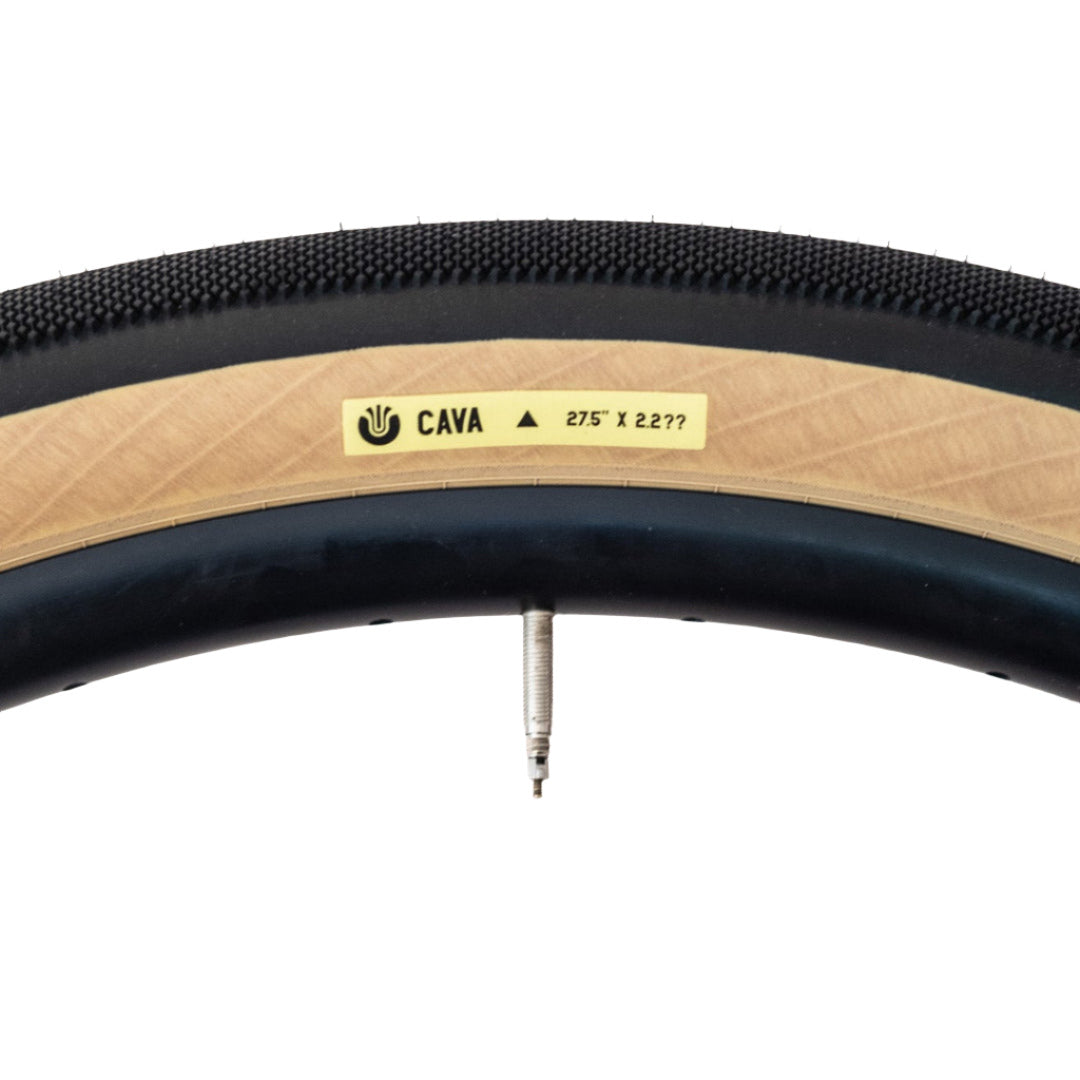 Ultradynamico Cava JFF Folding Tire – Full Cycle