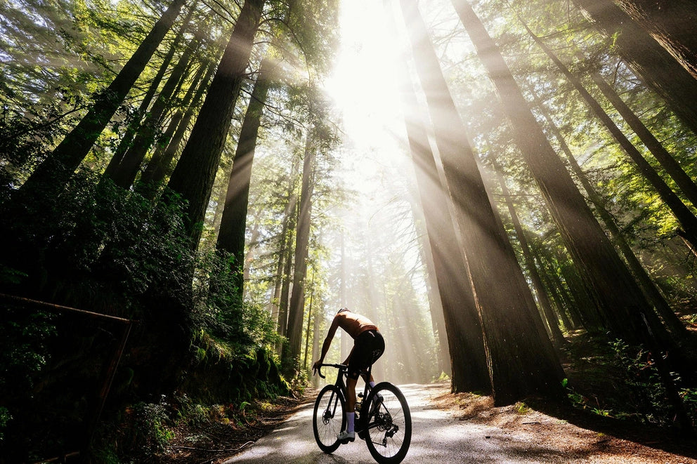 Person riding a bicycle on a forest path with sunlight filtering through the trees